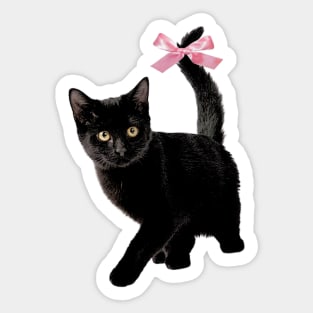 Cat with bow, coquette clothing, 90s Style T-Shirt, Pinterest Aesthetic Clothing, Cat lover Sticker